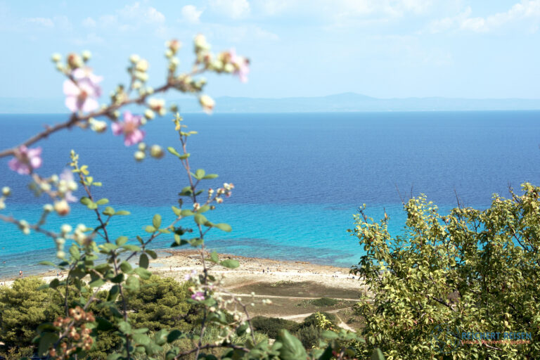 Blick auf das Meer und Sithonia
